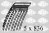 SASIC 1776032 V-Ribbed Belts